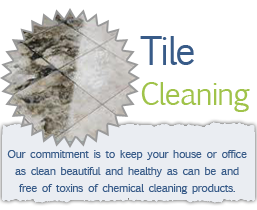 Grout Steam Cleaning